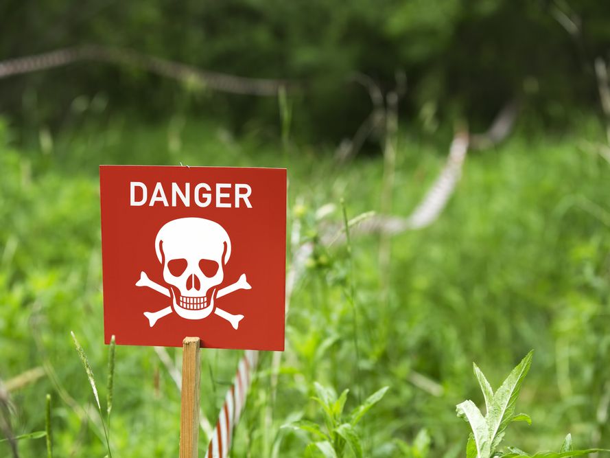 ۹ گیاه قاتل