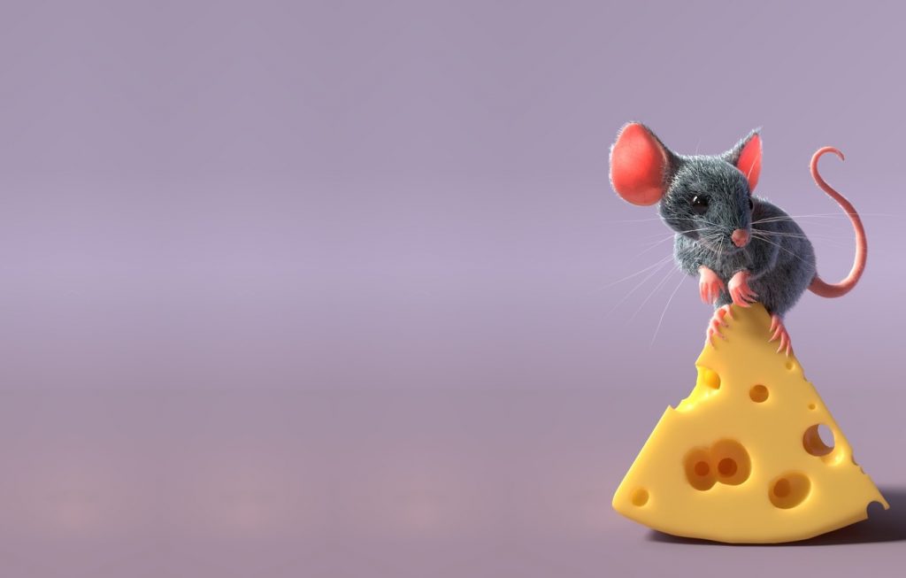 به آن‌‌ها فکر نمی‌کنید- موش و پنیر