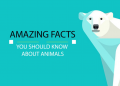 حقایق شگفت‌انگیز در مورد حیوانات