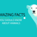 حقایق شگفتانگیز در مورد حیوانات 18 حقایق شگفتانگیز در مورد حیوانات