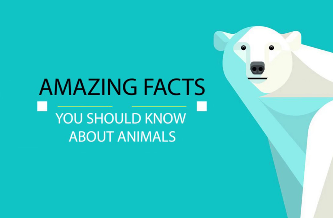 حقایق شگفت‌انگیز در مورد حیوانات