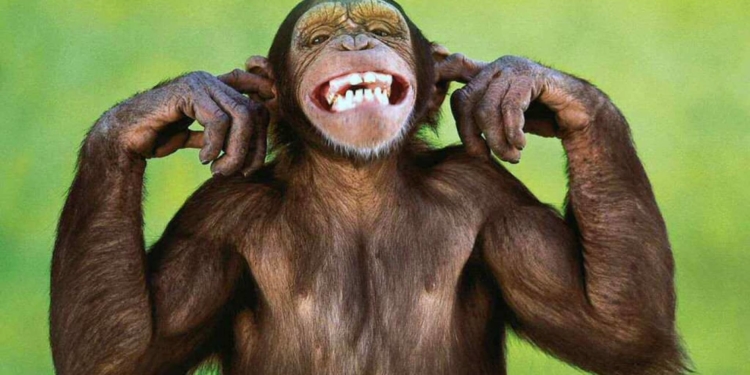 حقایقی درباره دندان حیوانات که جالب و بامزه هستند 8 حقایقی درباره دندان حیوانات