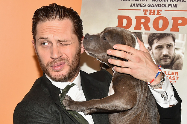 تام هاردی درحال بغل کردن یک سگ