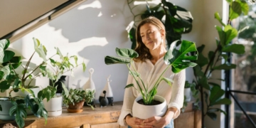 گیاهان آپارتمانی