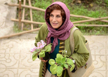 نمایش خانگی