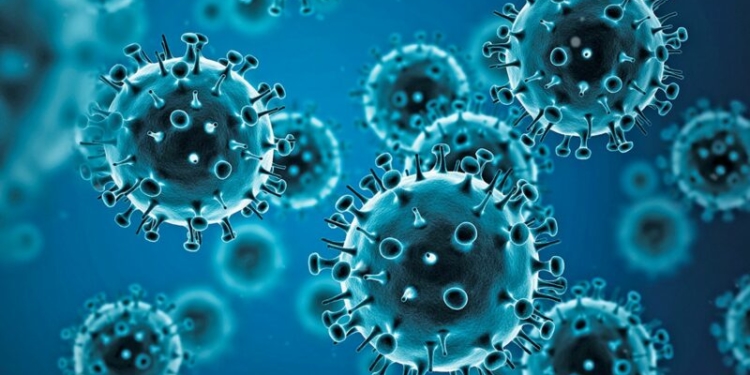 ده ویروس خطرناک در دنیا که هنوز وجود دارند 3 ویروس