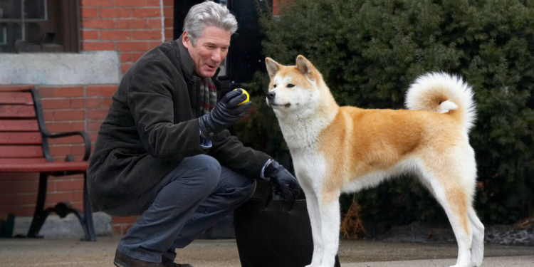 ده فیلم از قصه سگها که در خاطرتان خواهند ماند 7 سگ