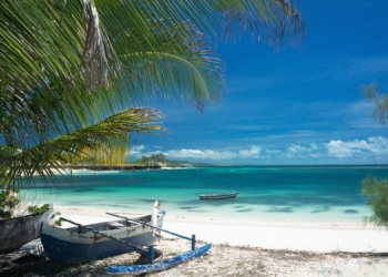 ماداگاسکار هیجان انگیز را بیشتر بشناسید 16 ماداگاسکار