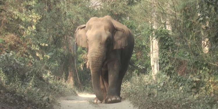 واقعیت های نگران کننده