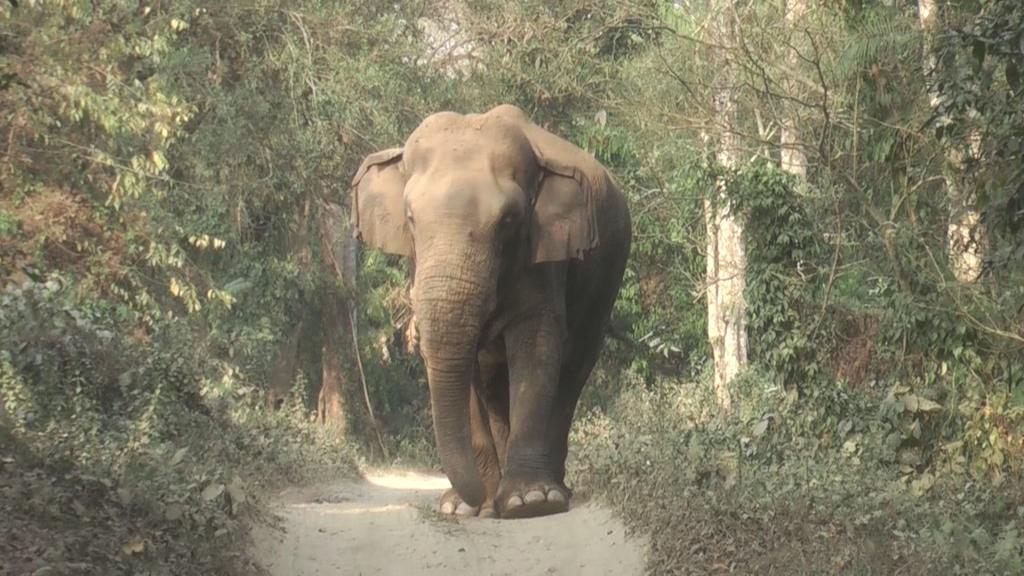 واقعیت های نگران کننده